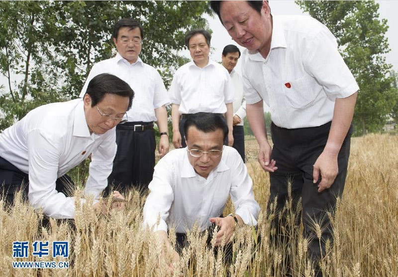 6月7日至8日，中共中央政治局常委、國(guó)務(wù)院總理李克強(qiáng)到河北邯鄲、邢臺(tái)、石家莊考察。 這是6月7日，李克強(qiáng)在邯鄲縣裴堡東村查看小麥?zhǔn)粘伞Ｐ氯A社記者黃敬文攝