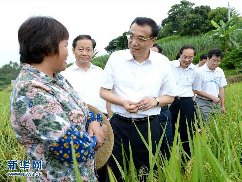 7月8日至10日，中共中央政治局常委、國務院總理李克強到廣西北海、欽州、南寧考察。這是7月9日，李克強走進南寧沖陶村的稻田，了解田間管理、農業技術服務和收獲保管等情況。 新華社記者馬佔成攝