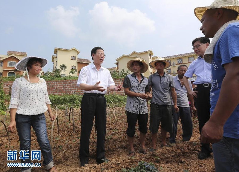 7月5日至8日，中共中央政治局常委、國務院副總理張高麗在四川調研。這是7月6日，張高麗在雙流縣南天寺村考察。 新華社記者丁林攝