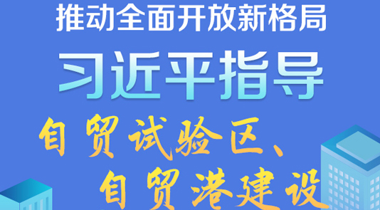 習近平指導自貿試驗區自貿港建設